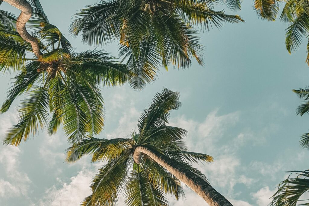 Mitarbeiter Incentives als Zeichen der Wertschätzung