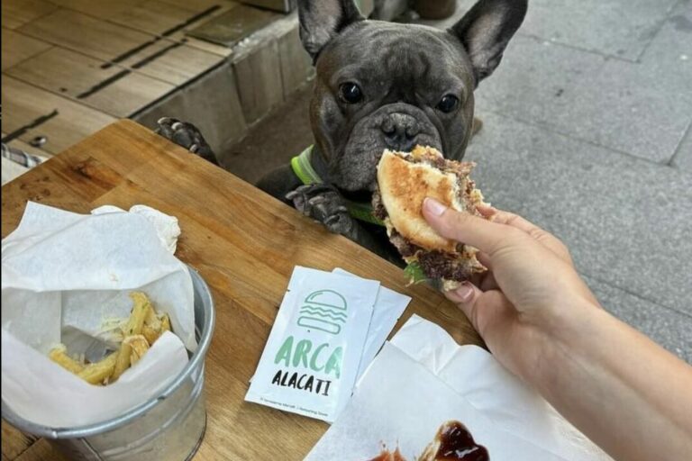 Restaurant Gutschein Arca Alacati Smashburger Friedrichsstadt