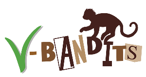 Logo V-Bandits