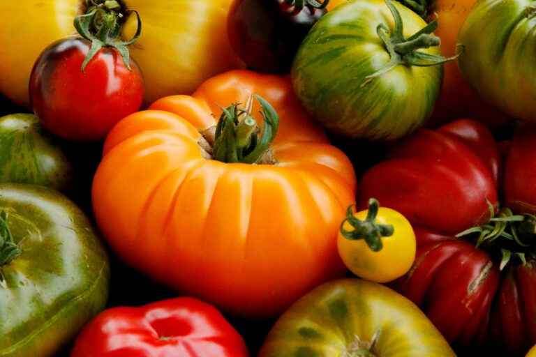 Restaurant Gutschein für red – die grüne Küche