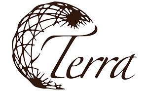 Logo Terra