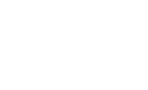Logo Zur Villenkolonie