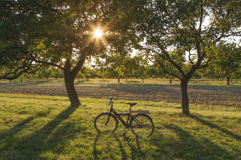 Restaurant Gutschein Gasthof zum Freden Bad Iburg
