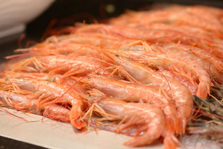 Restaurant Gutschein Gopalast Leipzig