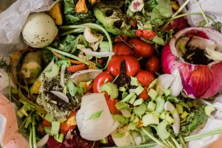 Restaurant Gutschein für Salädchen Marburg Süd