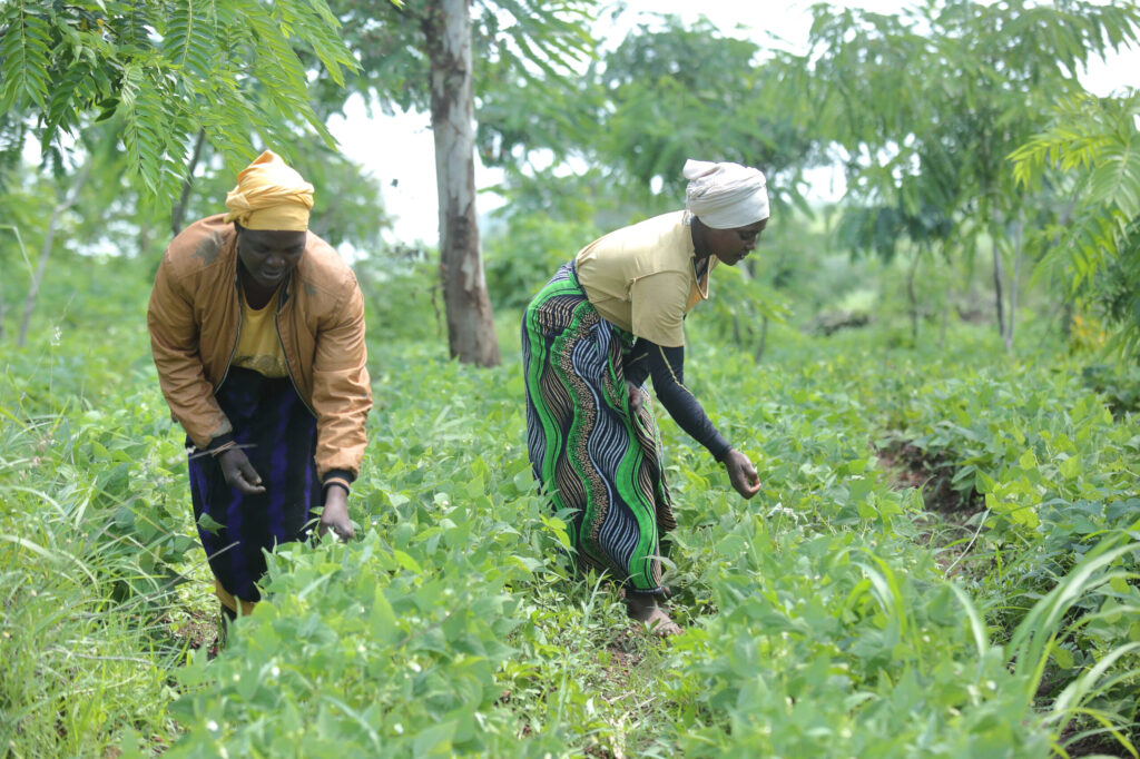 Die Projektarbeit der Welthungerhilfe in Burundi