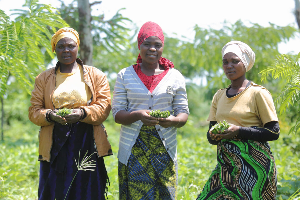 Die Projektarbeit der Welthungerhilfe in Burundi