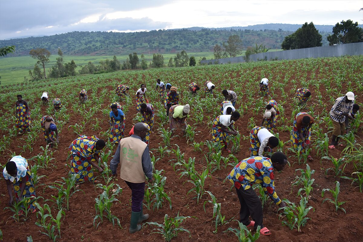 Restaurant Geschenk Gutschein Mitarbeitergeschenk Frankfurt